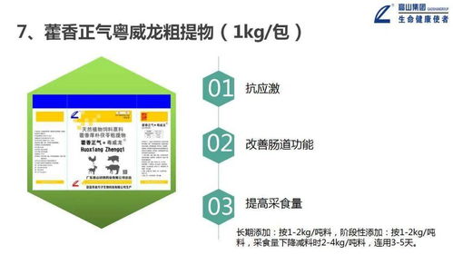 大力推進(jìn)一體化形象服務(wù)體系建設(shè)，推動高山中獸藥向更高水平發(fā)展——信息系統(tǒng)運行維護(hù)服務(wù)篇
