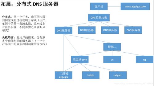 網絡服務核心組件之DNS域名系統運維 從基礎到實踐